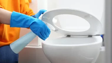 Cleaning the Toilet