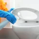 Cleaning the Toilet